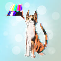 Beeboop - Error! Cat