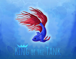 Betta Fish - King of the Tank
