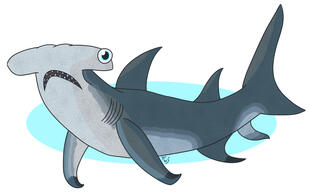Ocean Friends - Hammerhead Shark