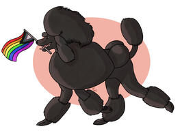 Pride Poodle