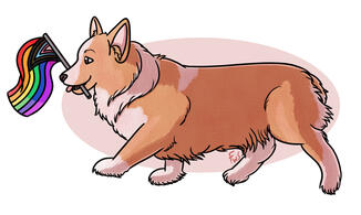 Pride Corgi
