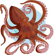 Ocean Friends - Great Pacific Octopus