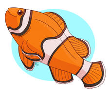 Ocean Friends - Clownfish