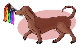 Pride Daschund