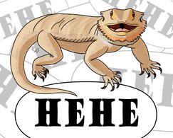 Bearded Dragon Hehe