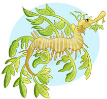 Ocean Friends - Leafy Sea Dragon